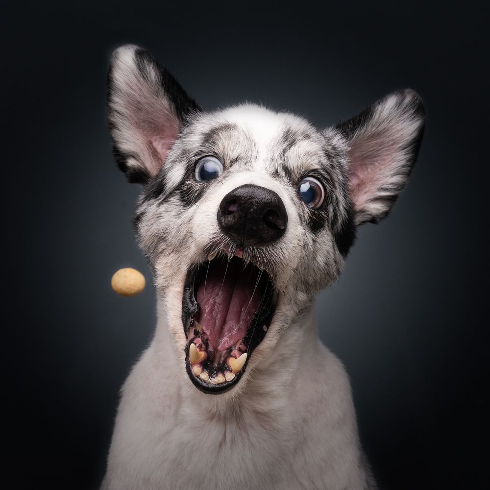 Photograph by Bernard Sim