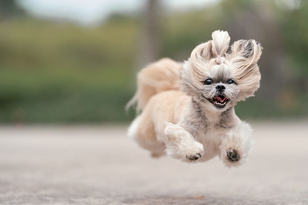 Photograph by Bernard Sim