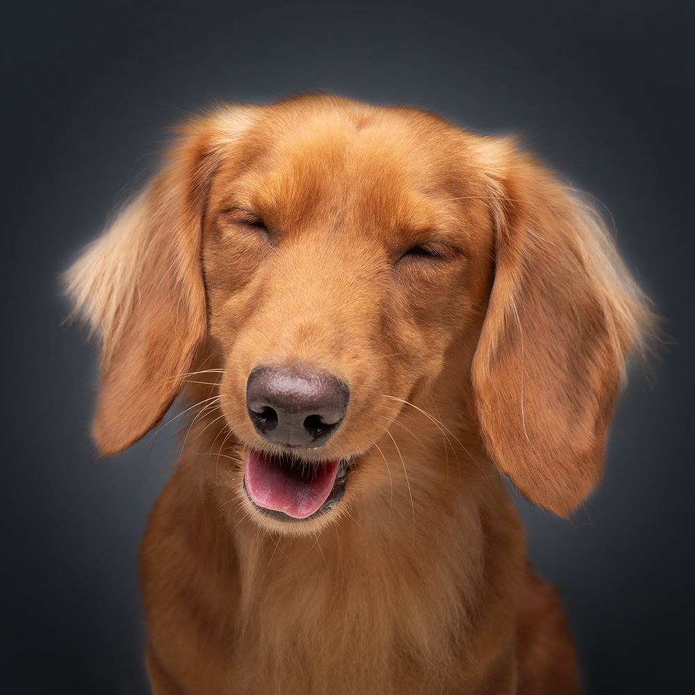 Фотография автора Bernard Sim