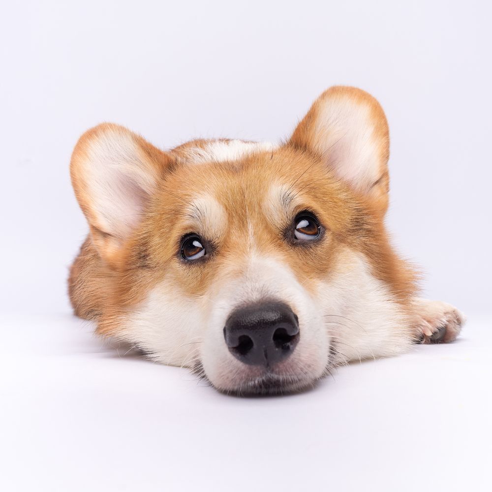 Фотография автора Bernard Sim