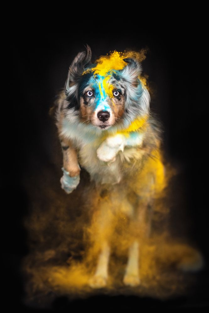 Photograph by Laura Quandt