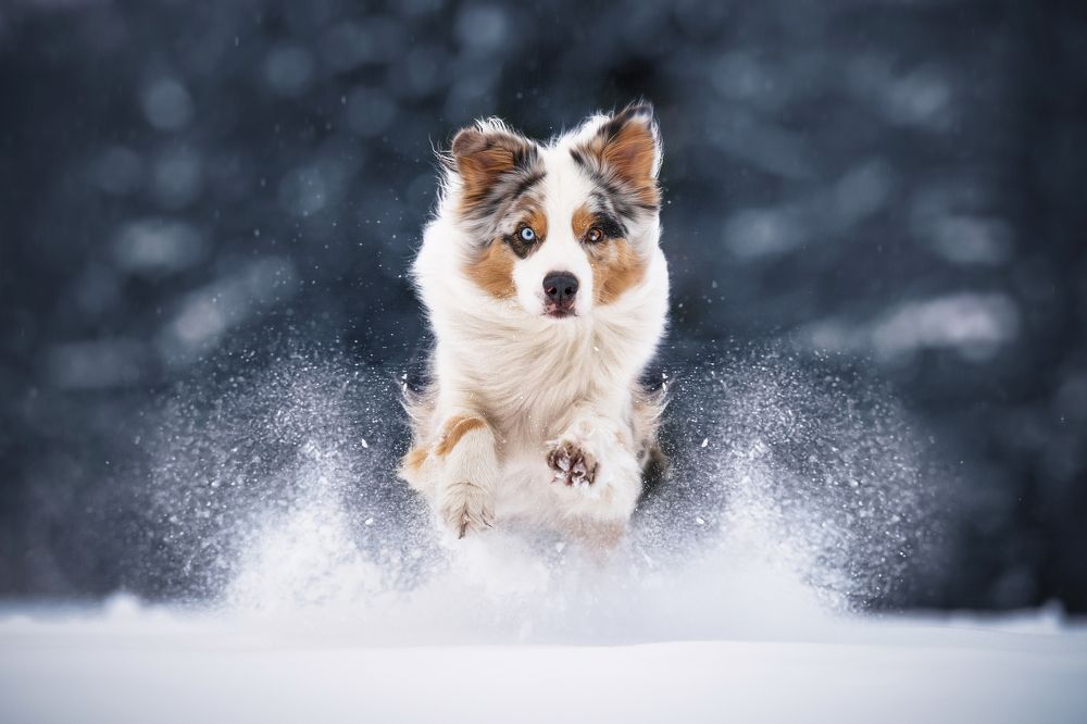 Photograph by Laura Quandt