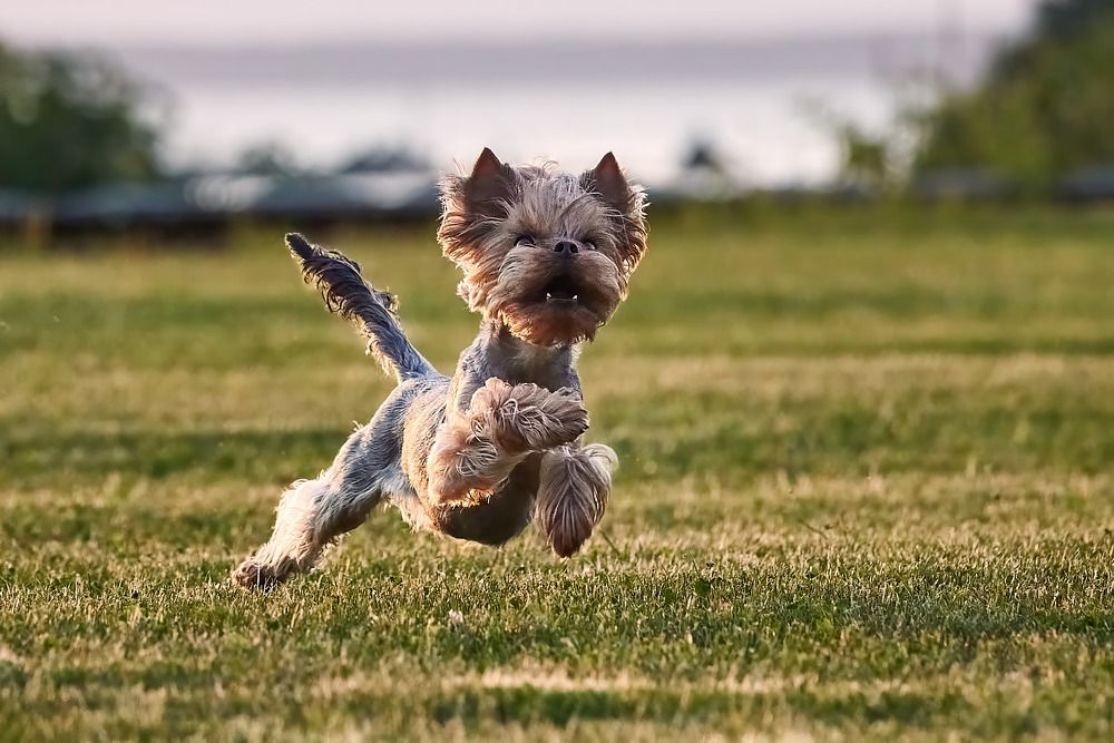 Photograph by Наумов Николай