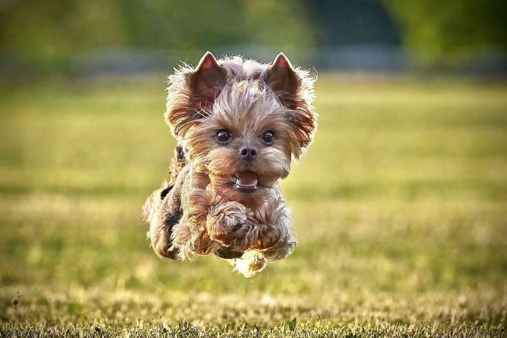 Photograph by Наумов Николай