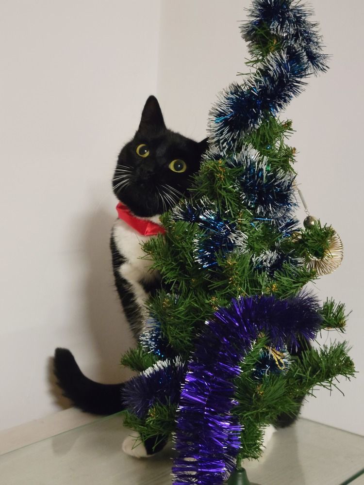 Photograph by Алина