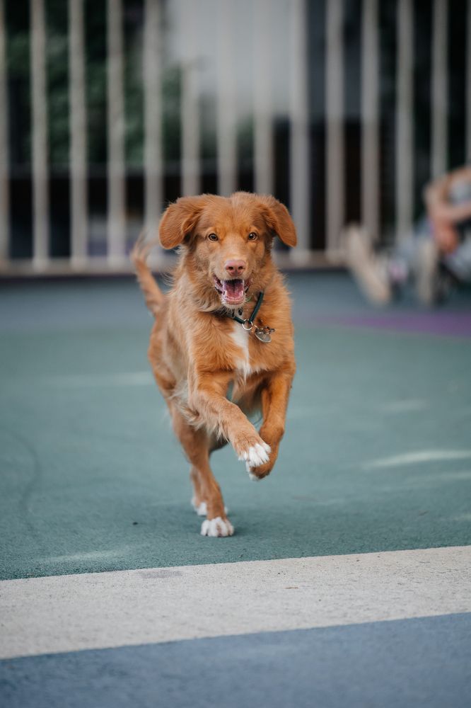 Фотография автора Нино Елисеева