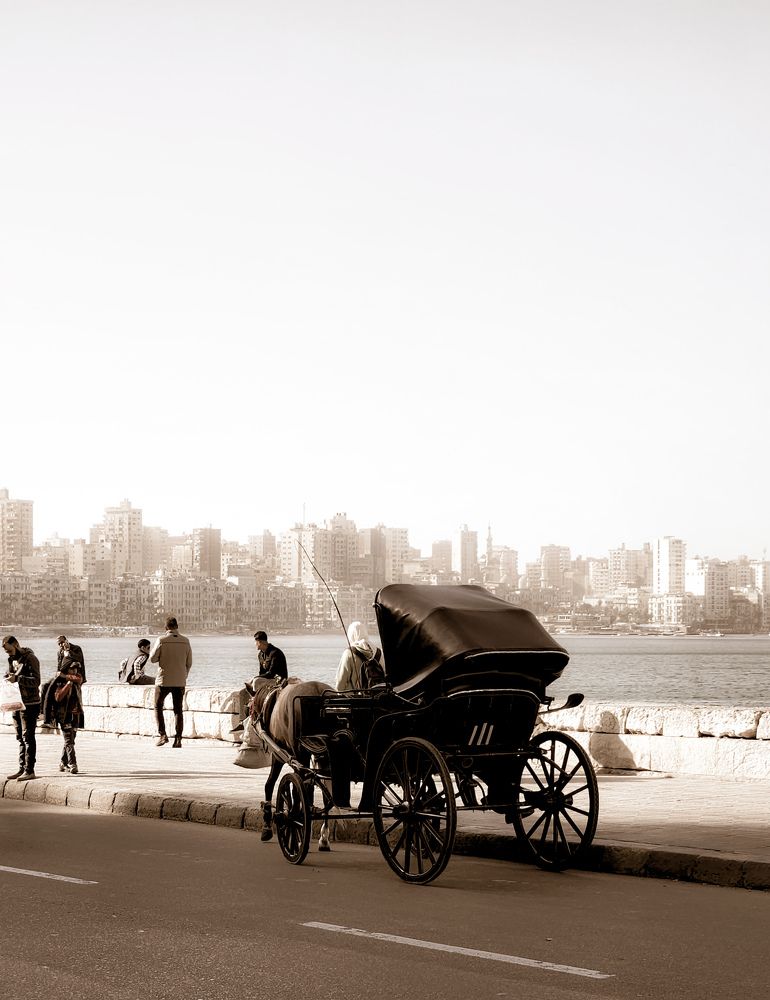 Photograph by Ahmed Ehab Akl