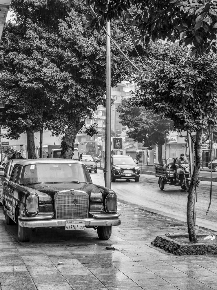 Photograph by Ahmed Ehab Akl