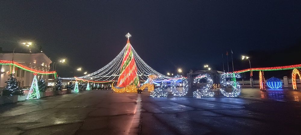 Photograph by Mishel Photographer