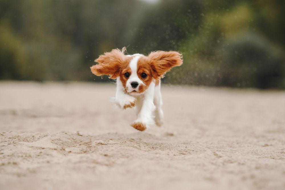 Photograph by Алена Ковалёва