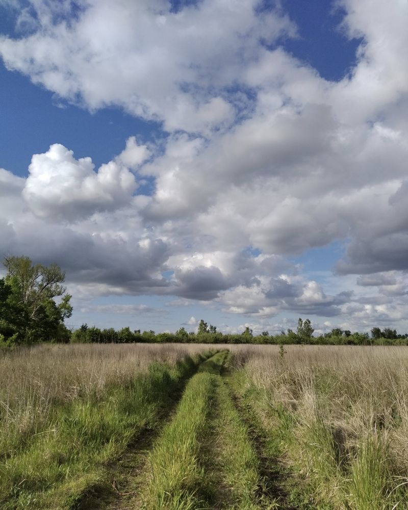 Photograph by Светлана Кондратенко