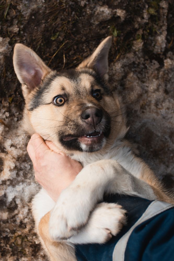 Photograph by Степоненкова Екатерина