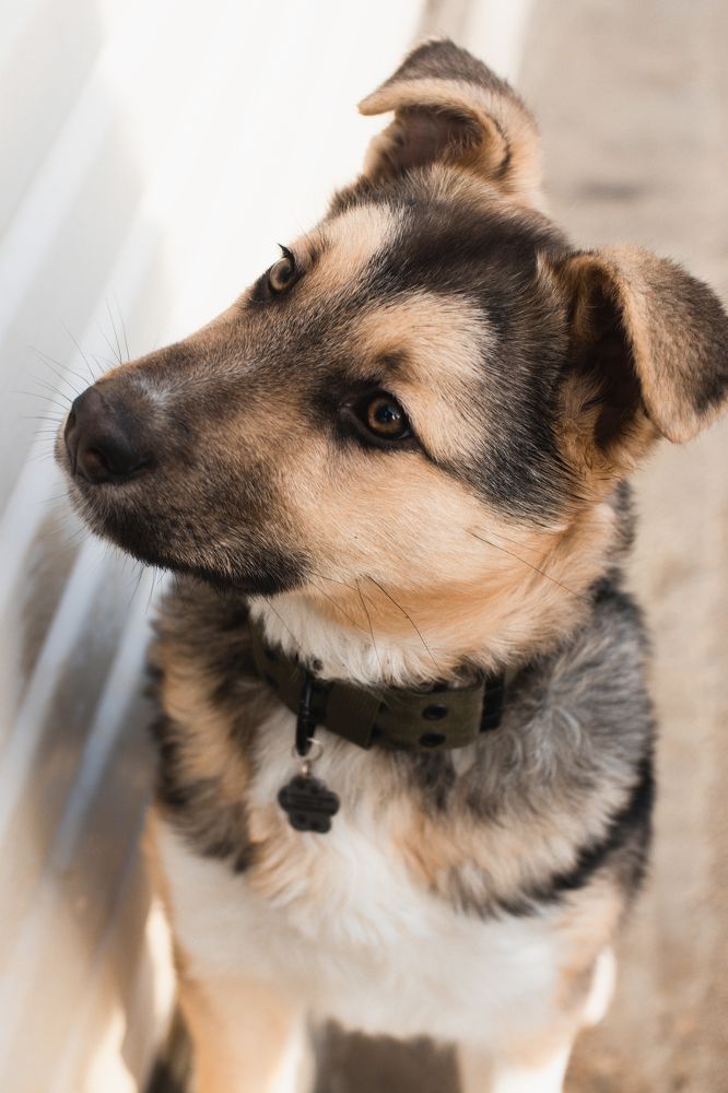 Photograph by Степоненкова Екатерина