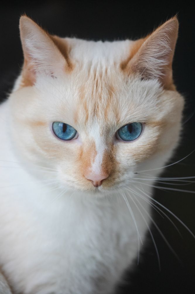 Photograph by Степоненкова Екатерина