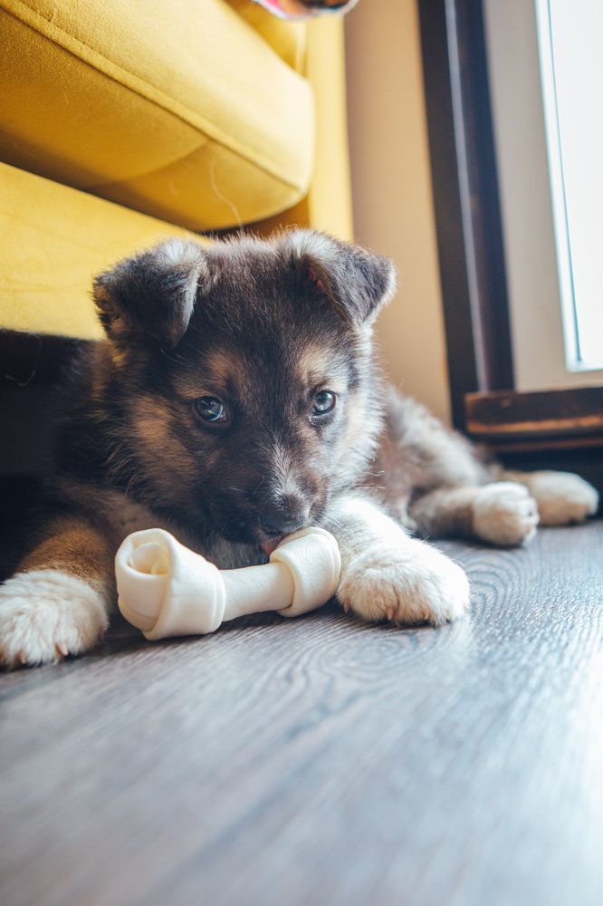 Photograph by Степоненкова Екатерина