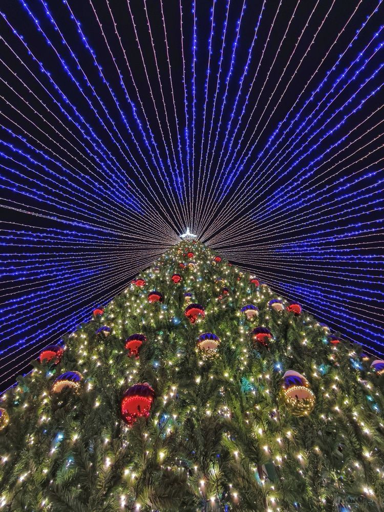 Фотография автора Илья