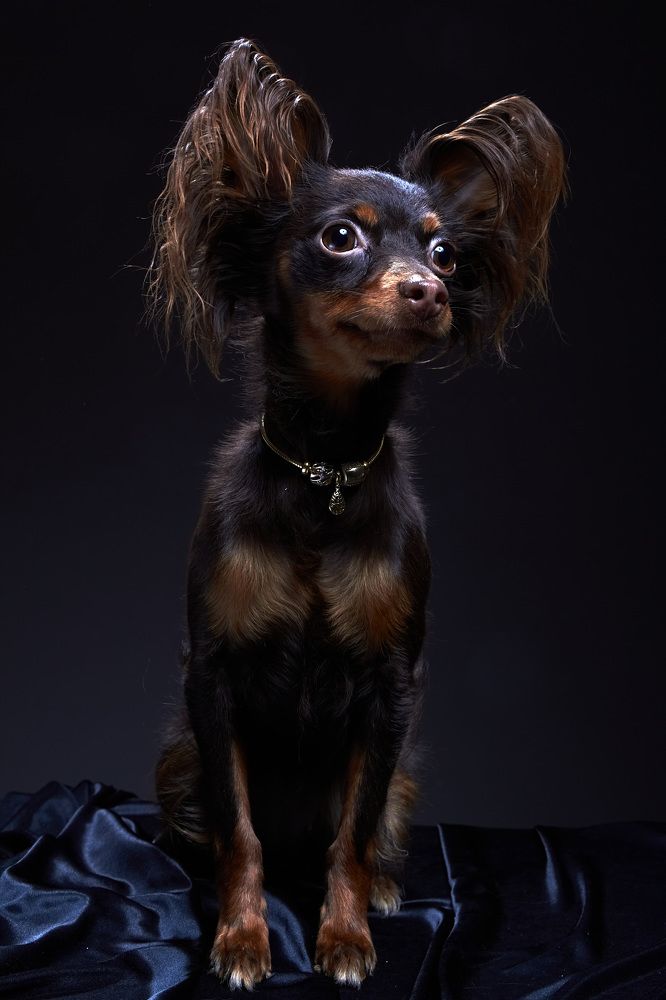 Фотография автора Ольга Ходова