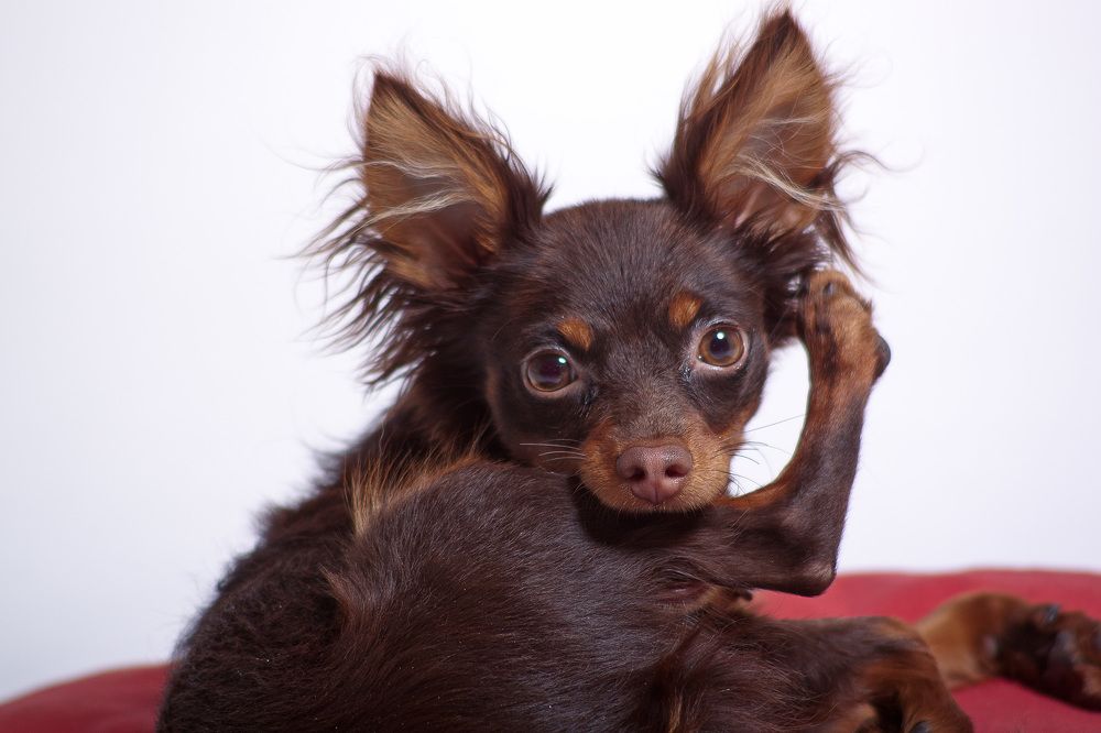 Photograph by Ольга Ходова