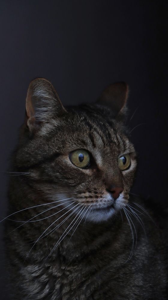 Photograph by Семён Федоров