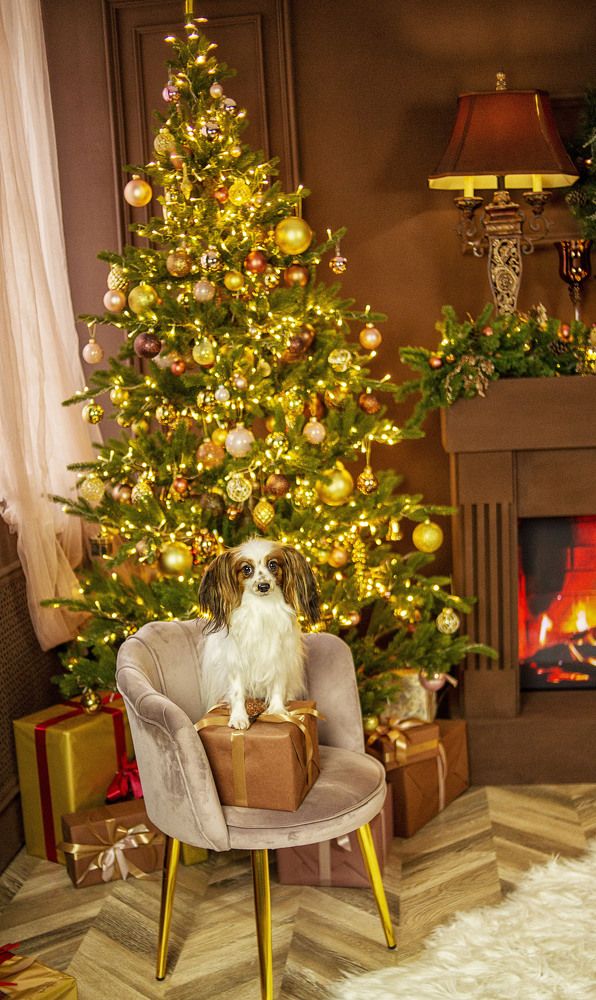 Photograph by Ольга Софронова