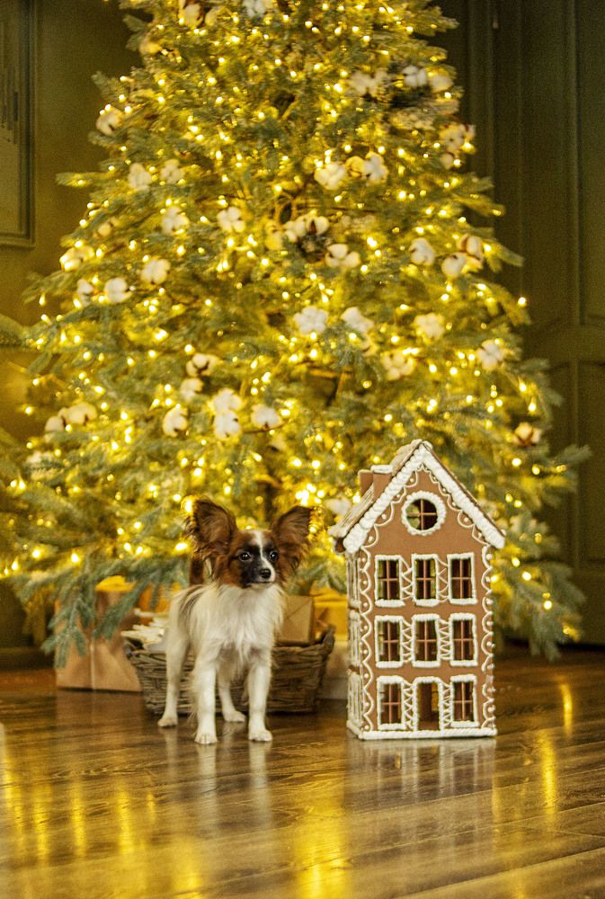 Photograph by Ольга Софронова