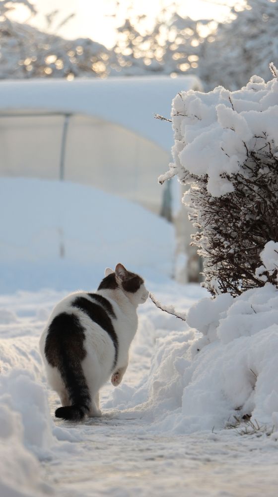 Photograph by Семён Федоров