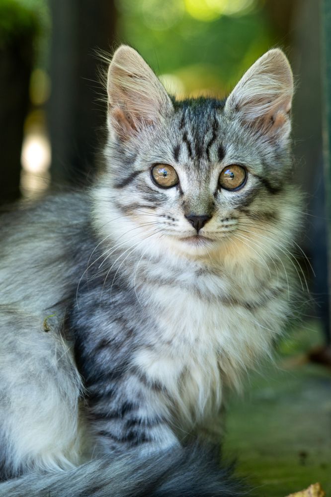 Photograph by Наталия Курищева