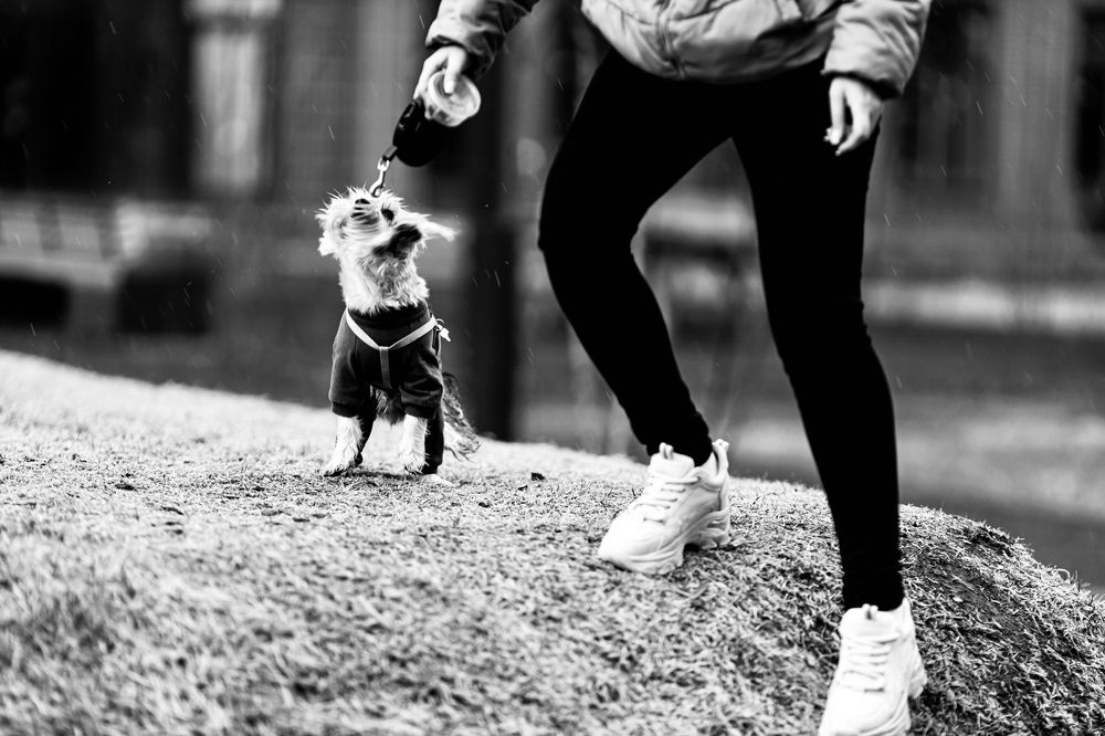 Photograph by Роман Акулов