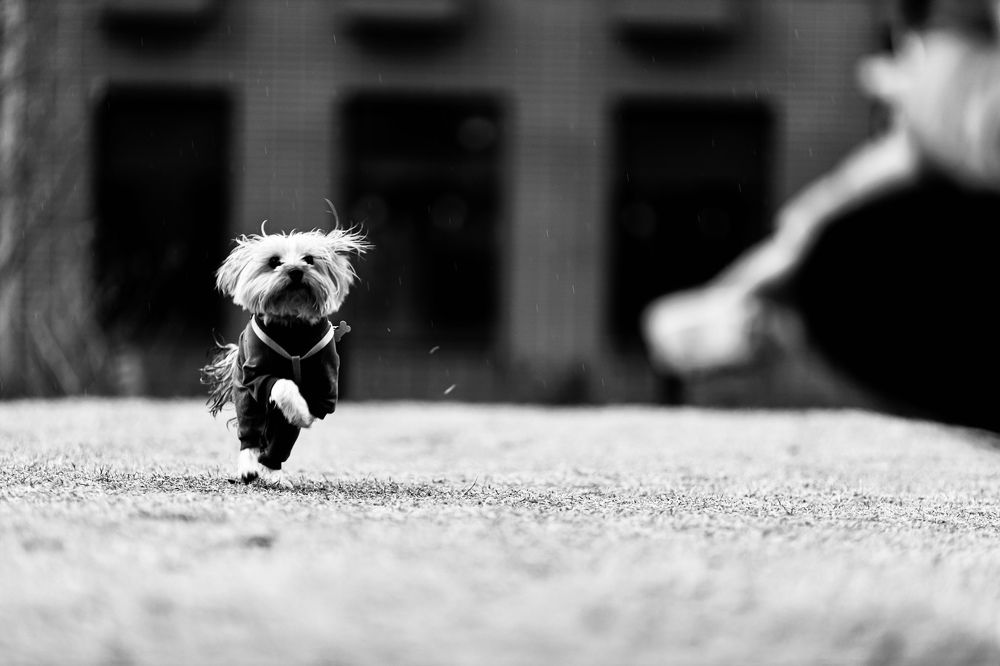 Photograph by Роман Акулов