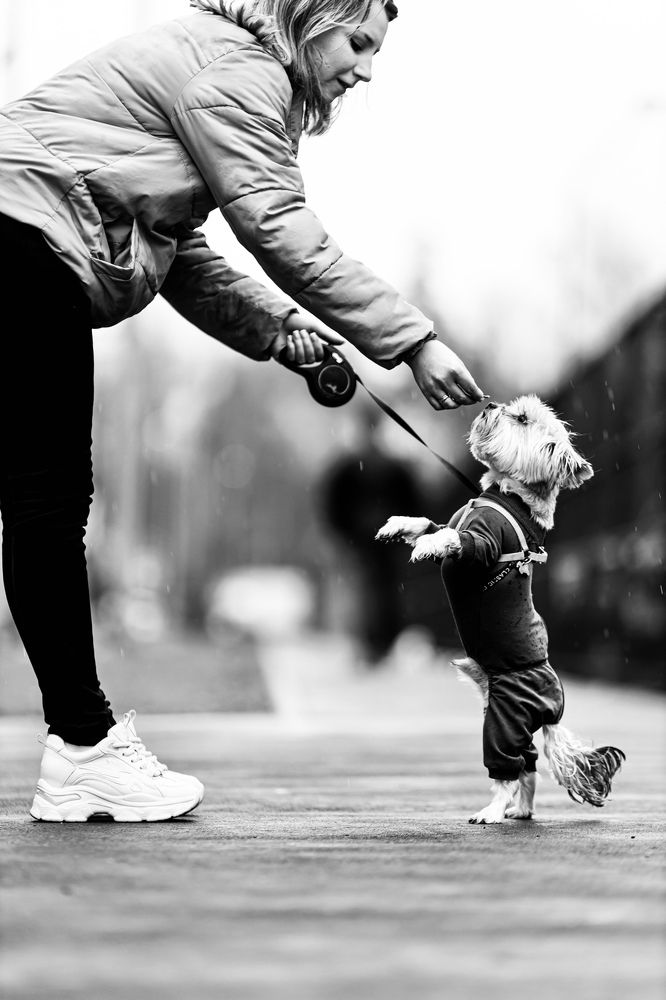 Photograph by Роман Акулов