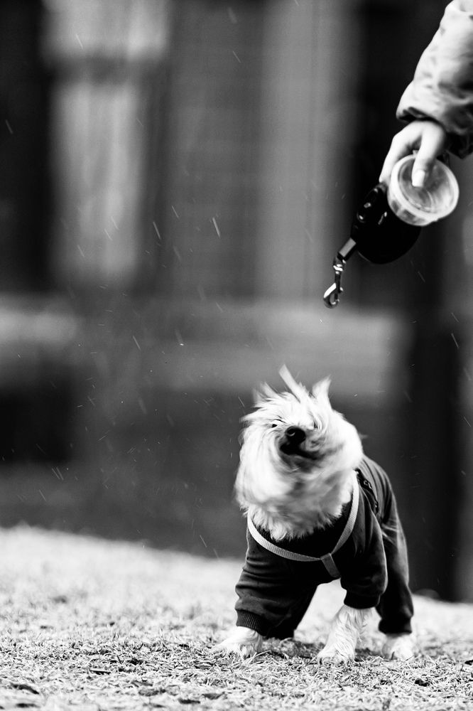 Photograph by Роман Акулов