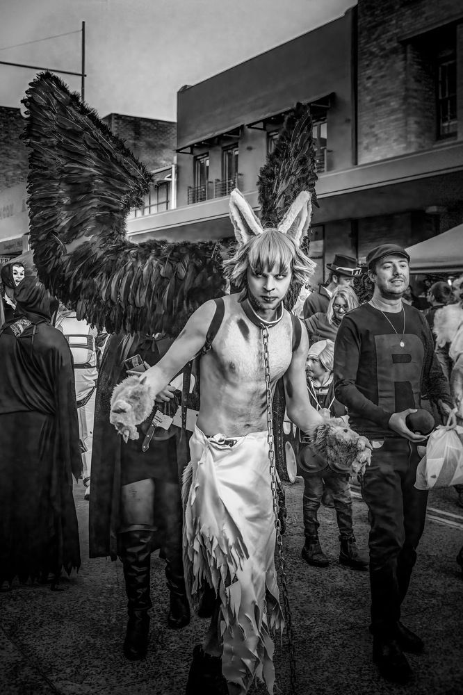 Photograph by Janet Williams