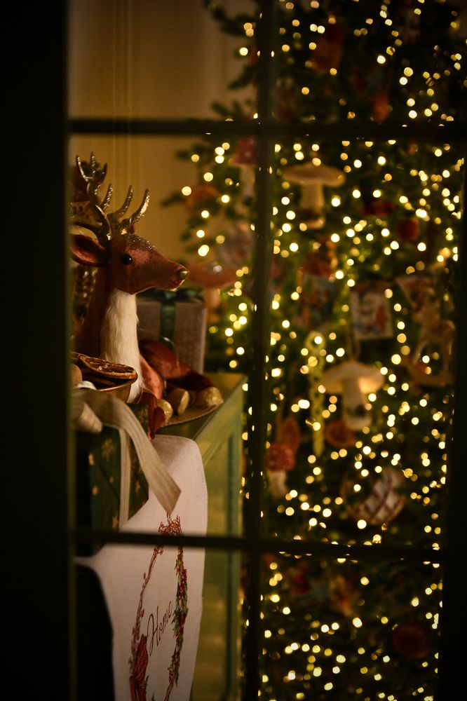 Photograph by Николайчик Елена