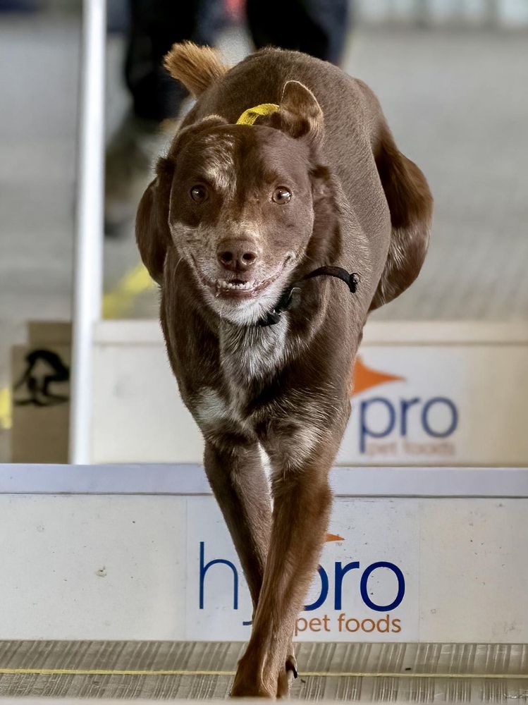 Photograph by Janet Williams