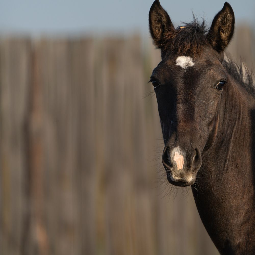 Photograph by Наталия Курищева