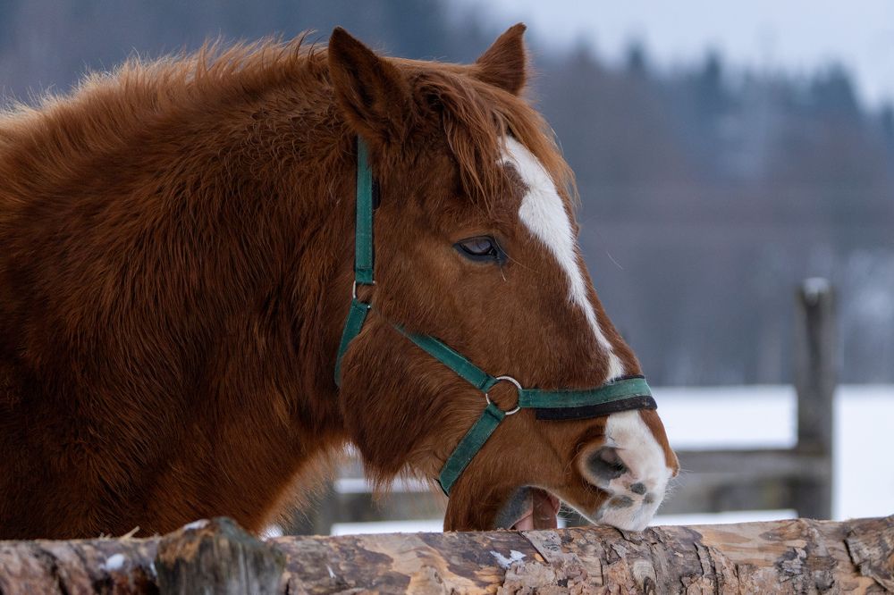 Photograph by Наталия Курищева