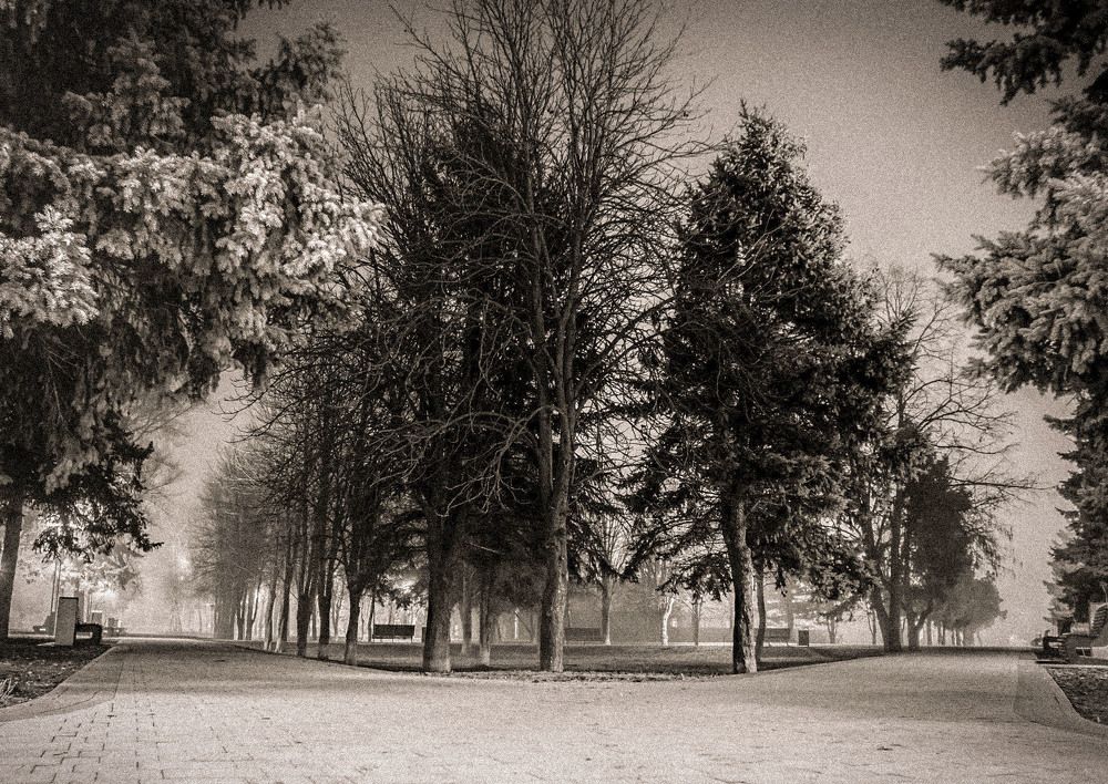 Ночь под светящимся небом