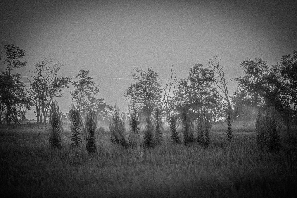 Проехал трактор