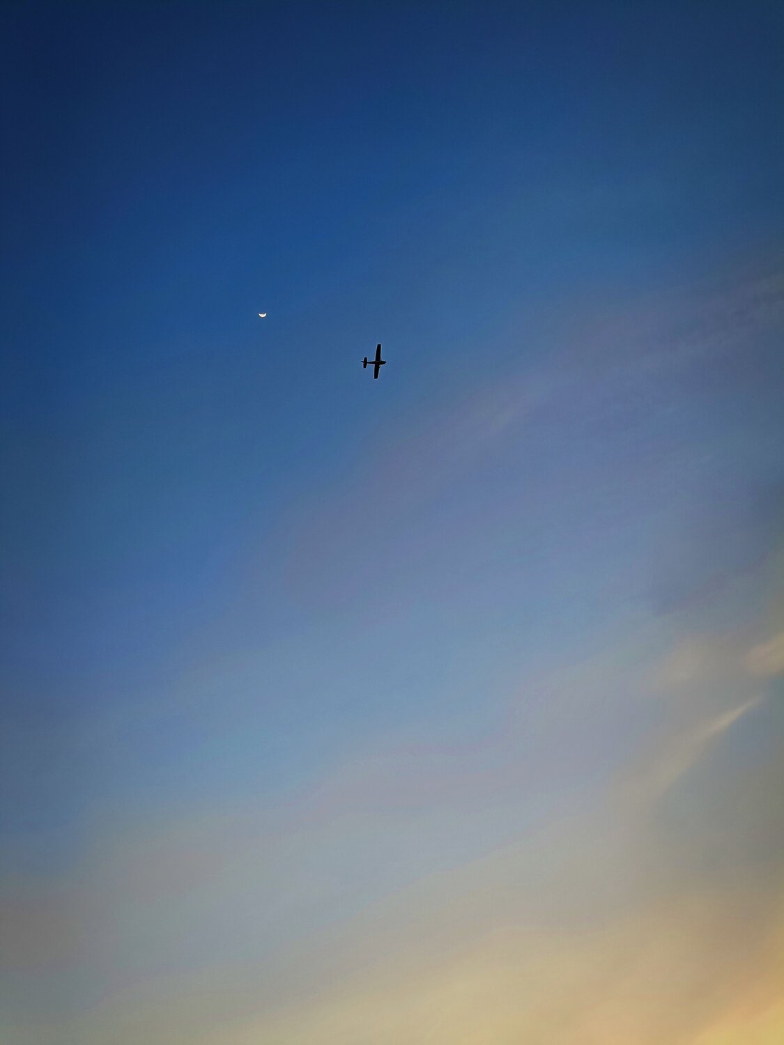 Photo #11577326