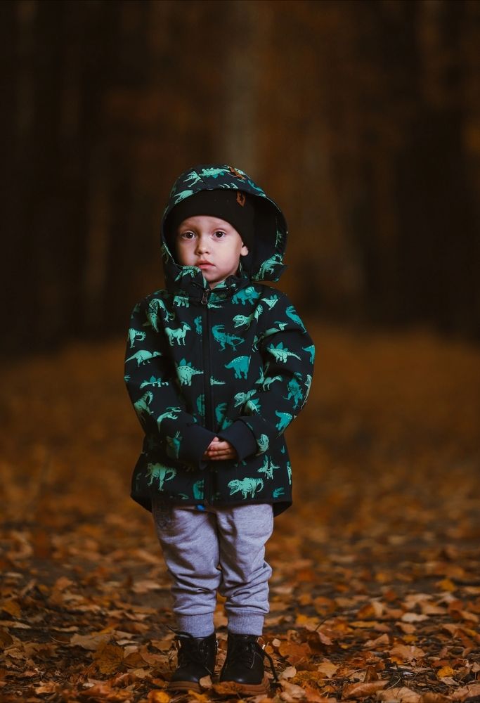 Фотография автора Илья К