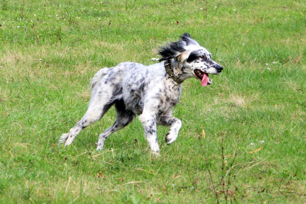 Photograph by Татьяна Иванникова