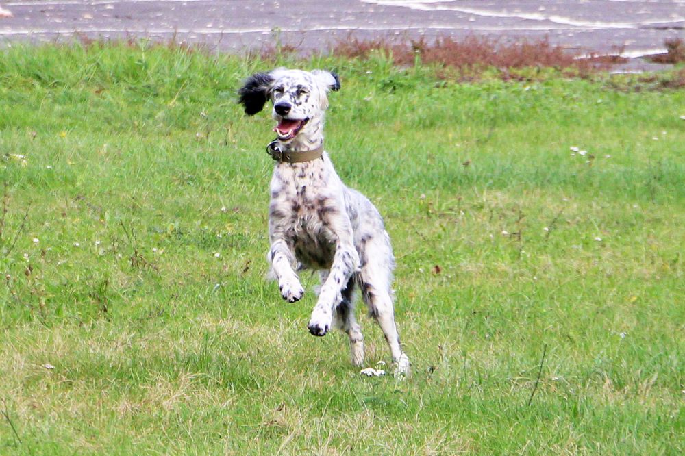 Photograph by Татьяна Иванникова