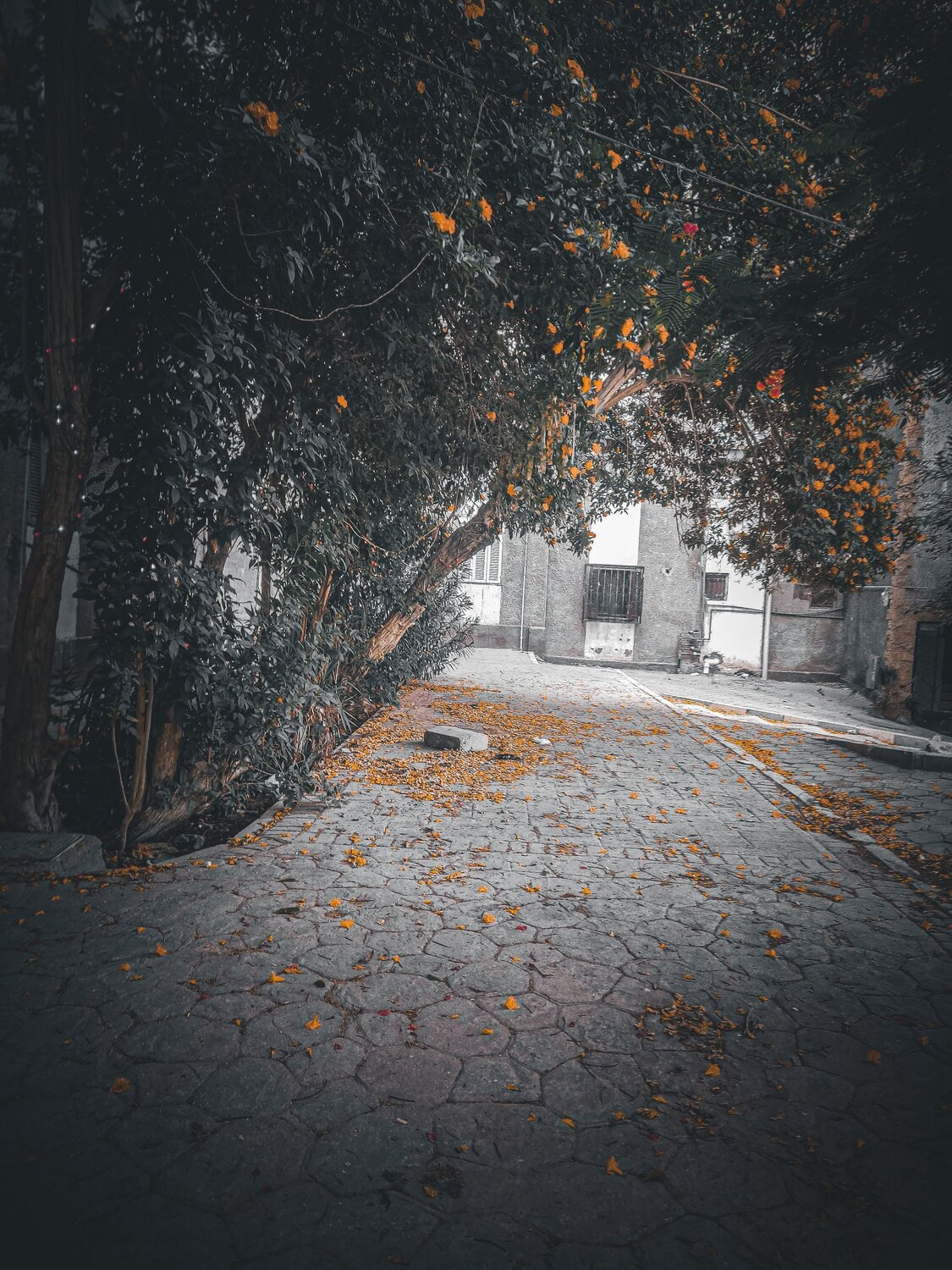 Фотография #11577364