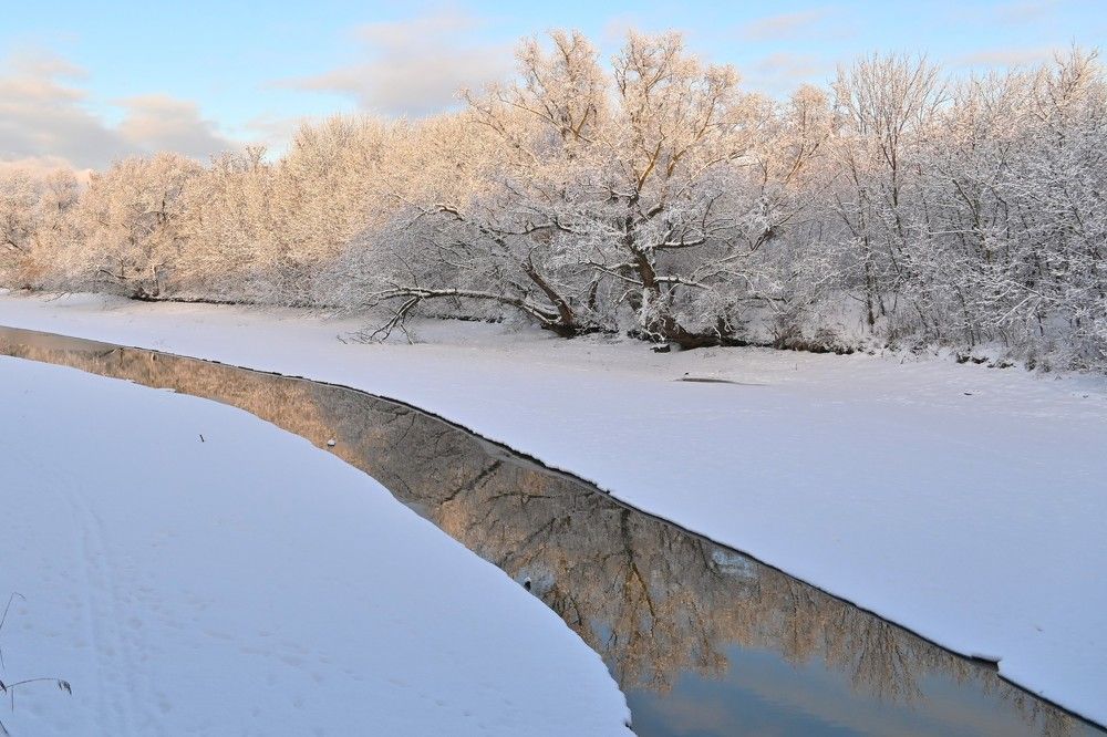 Фотография автора IRINA FILIPPOVA