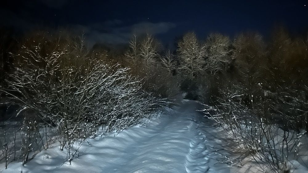 Зимняя дорога