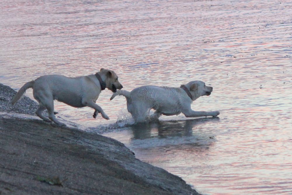 Пойдем поплаваем