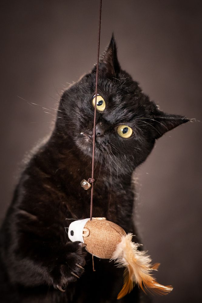 Photograph by Ольга Пачина