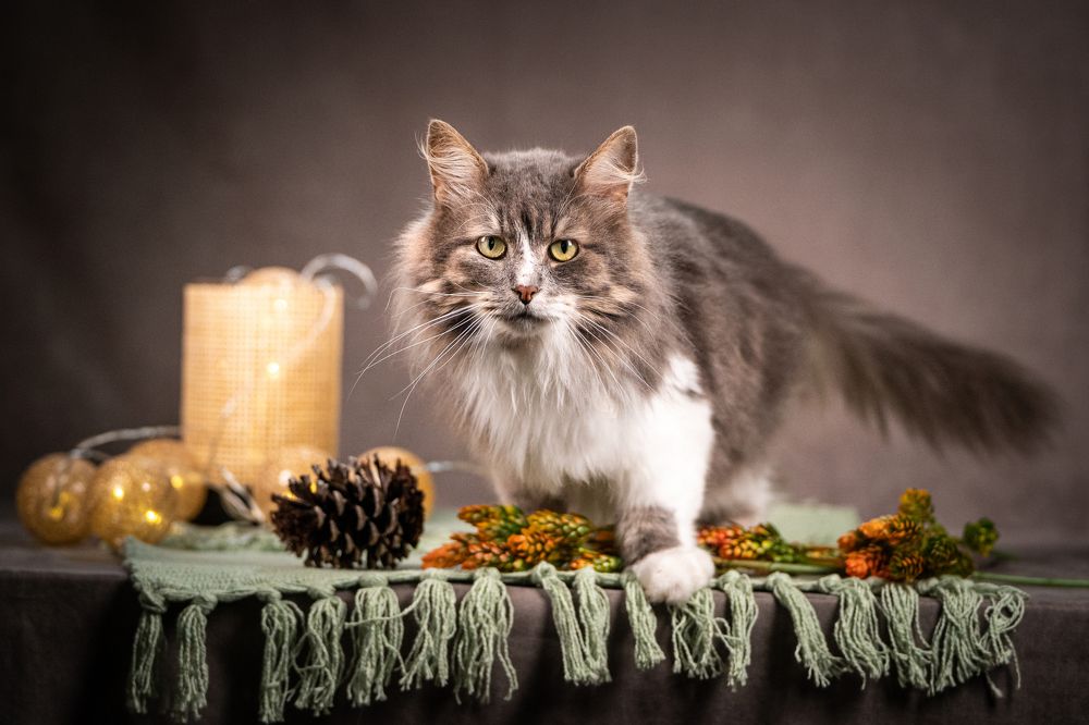 Photograph by Ольга Пачина