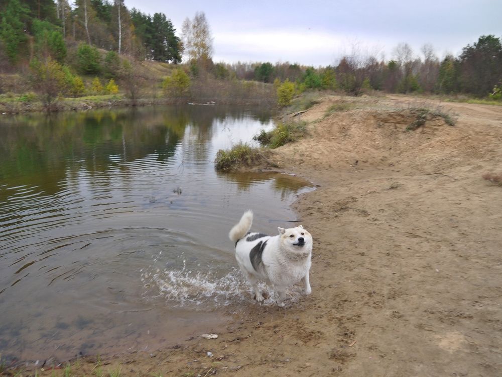 Фотография автора Клавдия Васильева