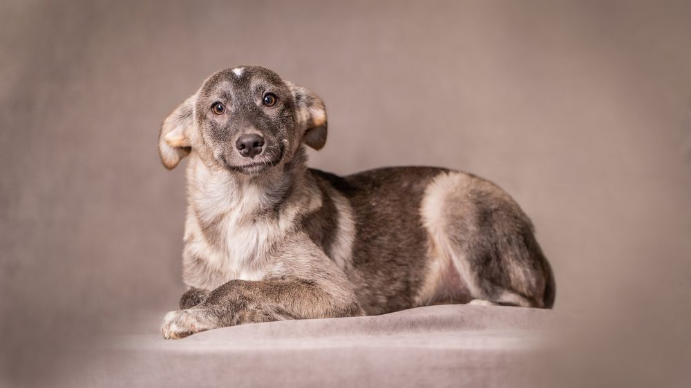 Photograph by Ольга Пачина